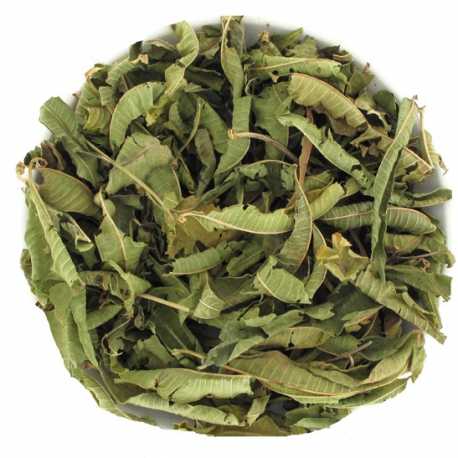 Tisane verveine