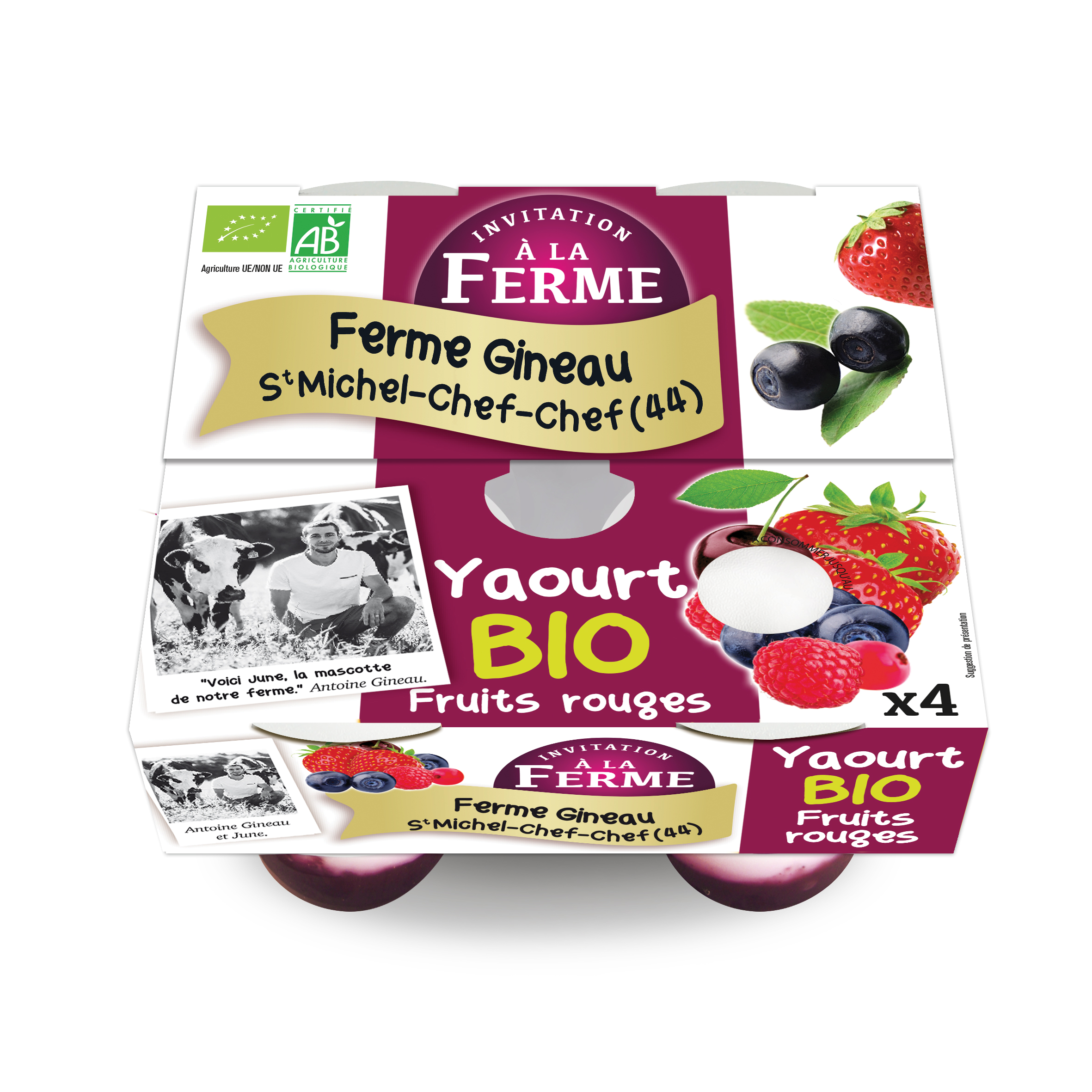 Yaourt Bio aux fruits rouges