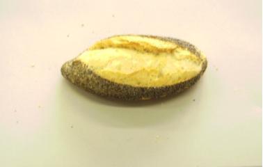 Mini Pain Au Pavot Bio 65G