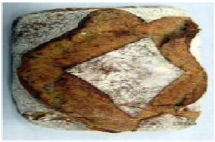 Pain Au Levain Bio Tradi