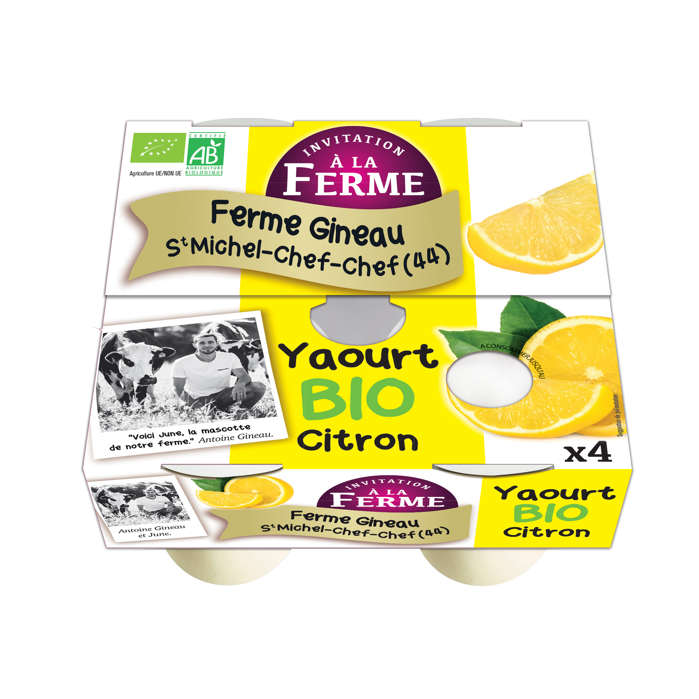 Yaourt Bio au citron
