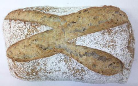 Pain Integral Bio Tradi