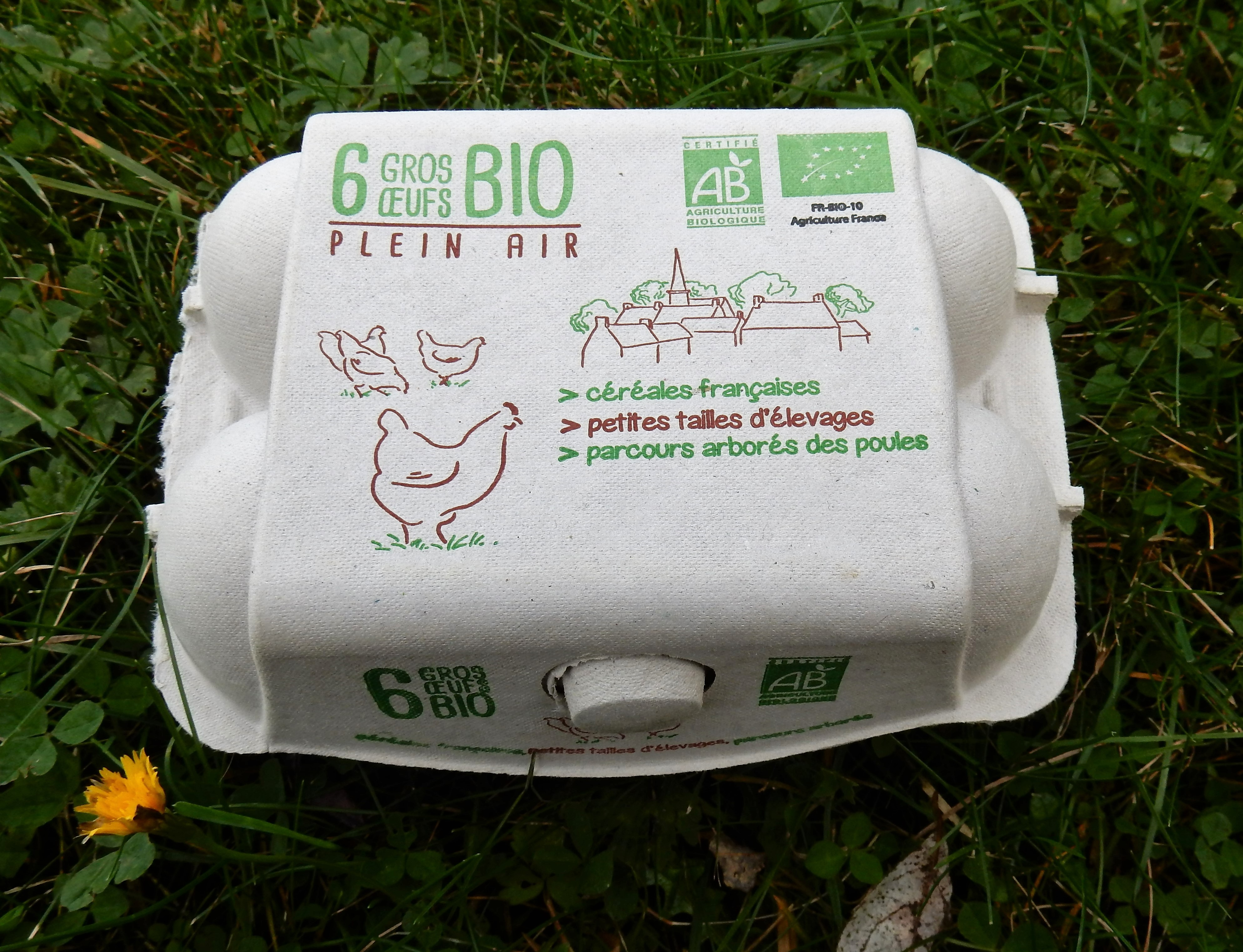 Boite de 6 œufs biologiques