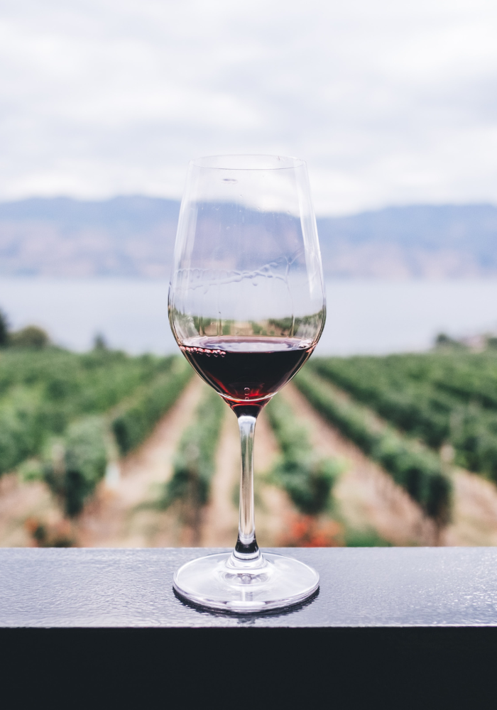 M&B (Monteiro & Borges)